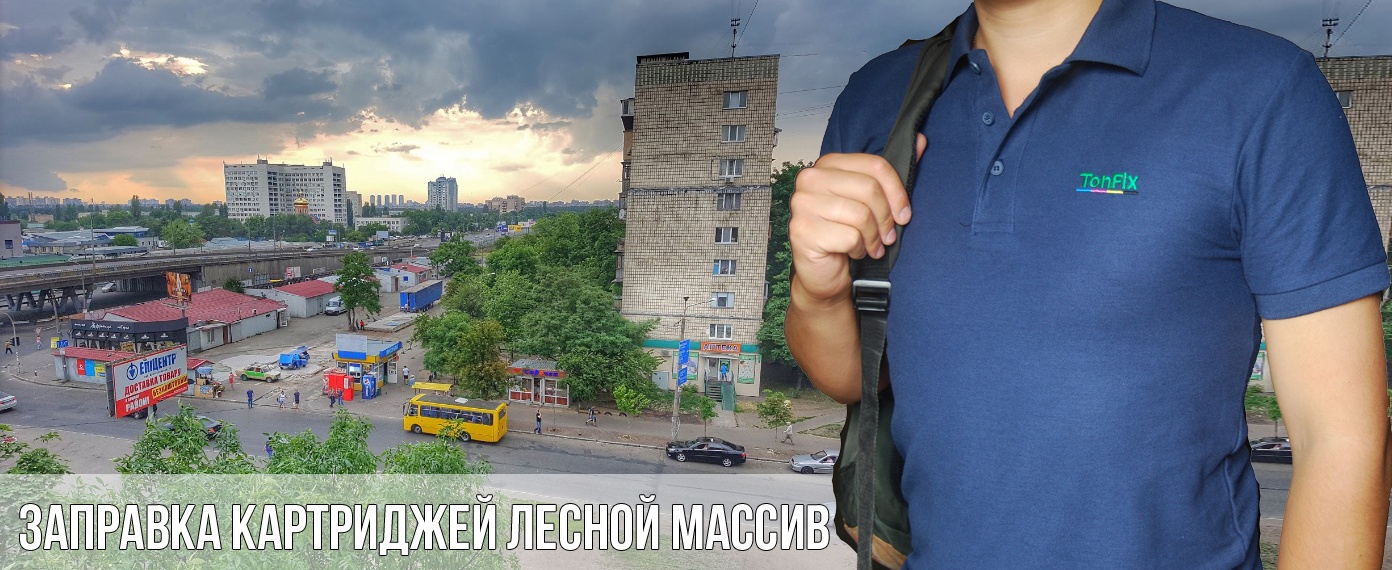 Заправка картриджей Лесной массив
